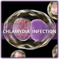 Chlamydia Infection