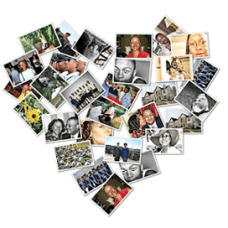 Shape Collage आइकन