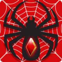 Spider Solitaire : Card Games