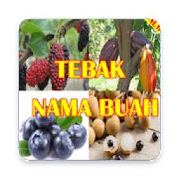 Tebak Nama Buah 1.0