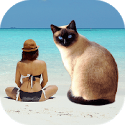 ikon Cut Paste Photos