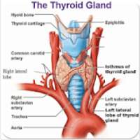 THYROID(थायराइड) on 9Apps