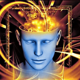 Brain Memory Check icon