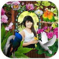 love bird insta pic photo frame art on 9Apps