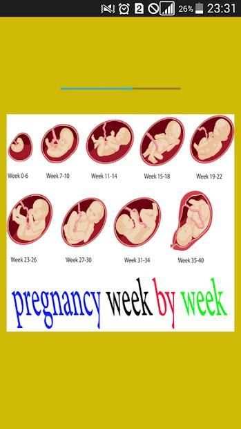 pregnancy week by week स्क्रीनशॉट 7