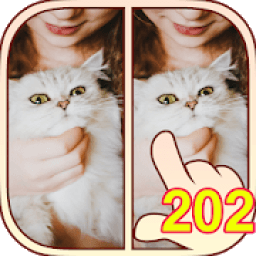 ikon Find Differences 202