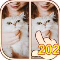 Find Differences 202