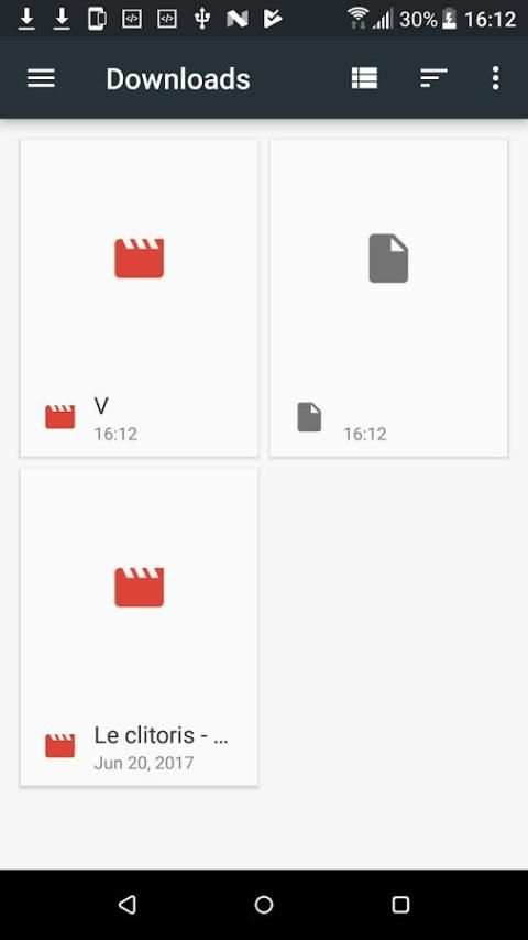 Video download master screenshot 2