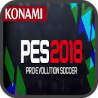 Pro PES 2019 Evolution Soccer Tips