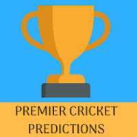 Cricket AI Prediction