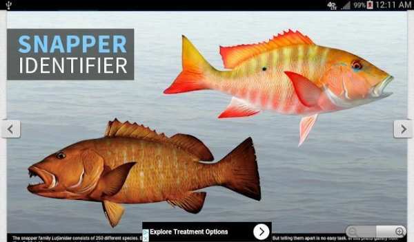 FISH Finder & Identifier скриншот 7