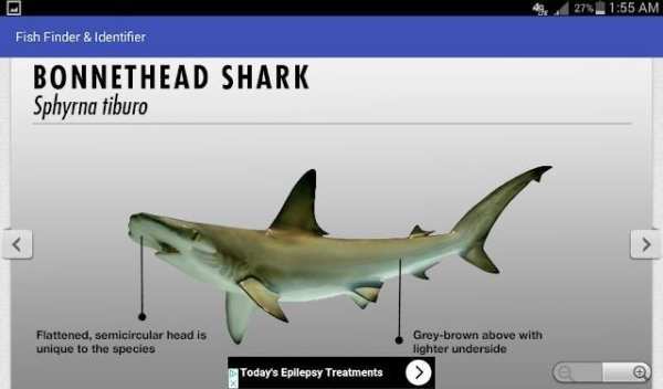 FISH Finder & Identifier скриншот 8