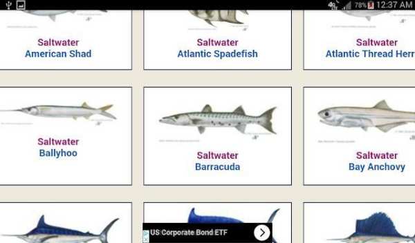FISH Finder & Identifier скриншот 4