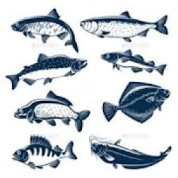 Fish Finder & Identifier 2.5