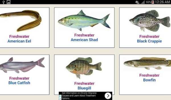 FISH Finder & Identifier скриншот 5