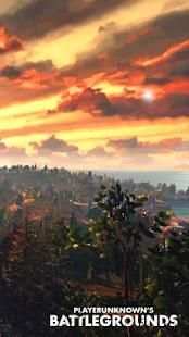 Player PUBG Wallpaper HD Offline screenshot 1