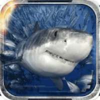 바다이야기 ◈ 야마토 ◈ 오션파라다이스( ※설치가이드 ) on 9Apps