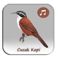 Kicau Cucak Kopi Full Gacor on 9Apps