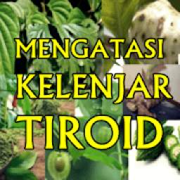 Penyembuhan Alami Kelenjar Tiroid Secara Herbal