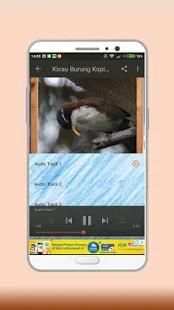 Masteran Kicau Cucak Kopi screenshot 4