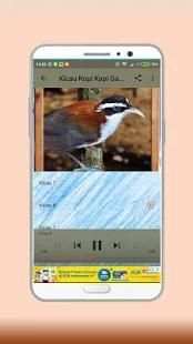 Masteran Kicau Cucak Kopi screenshot 3
