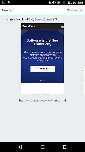 BlackBerry Access screenshot 11