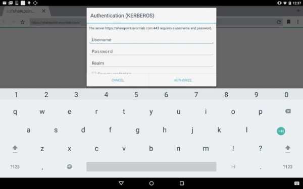 BlackBerry Access screenshot 8