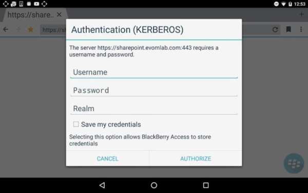 BlackBerry Access screenshot 2