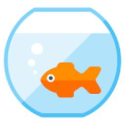 Fish Dailying 1.2.1