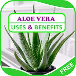 Uses & Benefits of Aloe Vera