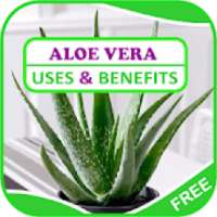 Uses & Benefits of Aloe Vera