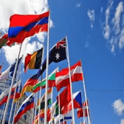 ikon International Browser