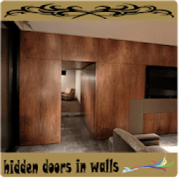 ikon Hidden door in Wall