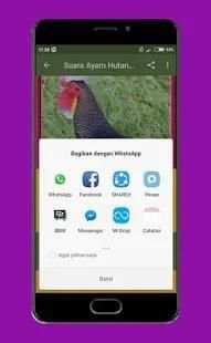 Suara Ayam Hutan Offline screenshot 4