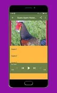 Suara Ayam Hutan Offline screenshot 2