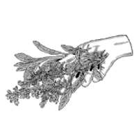 School of Witchery on 9Apps