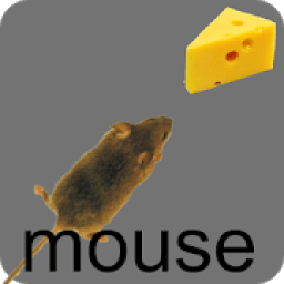 Mouse LITE - Игра для кота icon