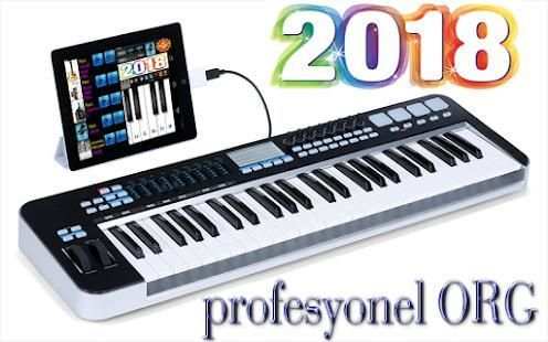 Pro Electronic ORG Music screenshot 1