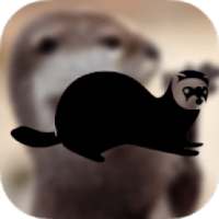 Otters Wallpapers on 9Apps