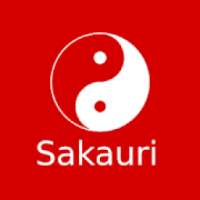 Sakauri Karate Basics