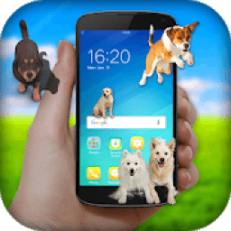 ikon Dog On Screen Funny Joke