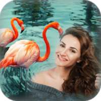 Flamingo Pic Effect - beautiful hd flamingo blur on 9Apps