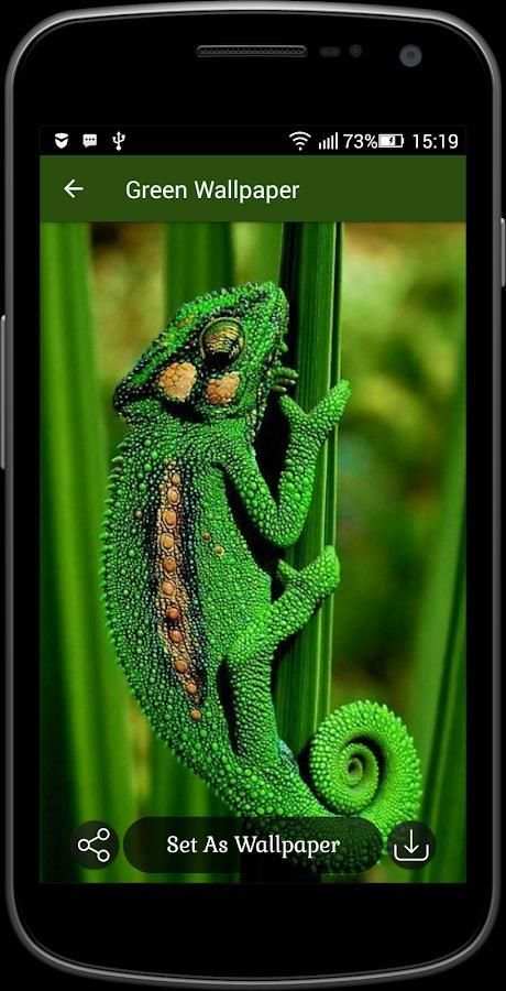 Green Wallpaper screenshot 2