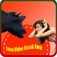 Lucu Video Kocak Kwai on 9Apps