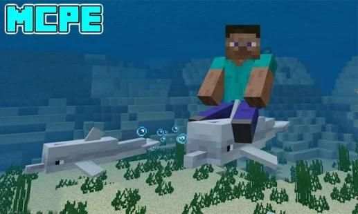 Dolphin Riding Mod for MCPE screenshot 3