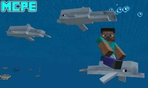 Dolphin Riding Mod for MCPE screenshot 2