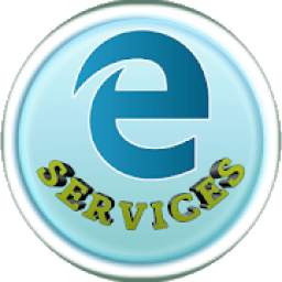 e services