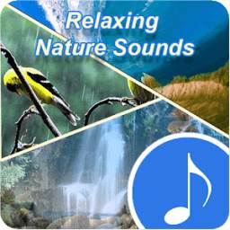 Mind Relaxing Sound Effects - Best Peaceful Music