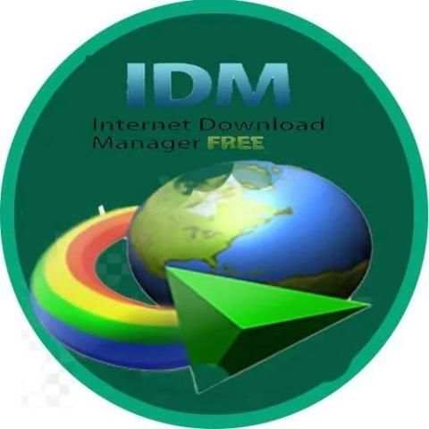 Internet Download Manager (IDM) screenshot 1