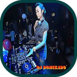 djdomikadoremix 1.0